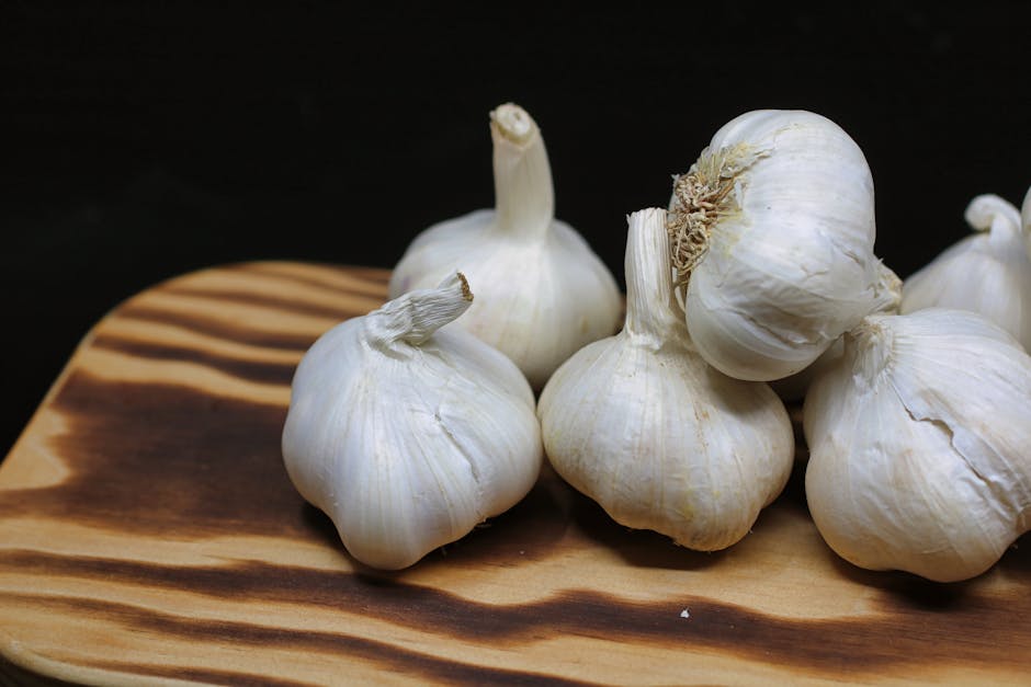 Garlic – Uses & Benefits