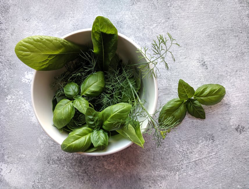 Holy Basil (Tulsi) - The Sacred Stress Reliever